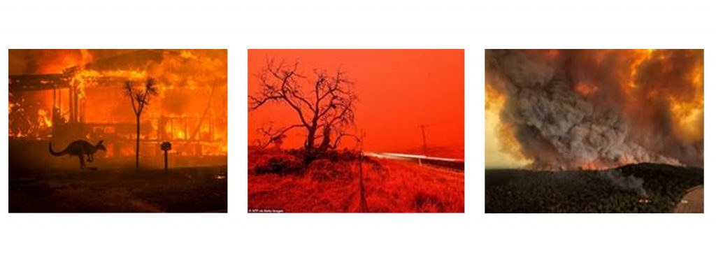 Australia fires