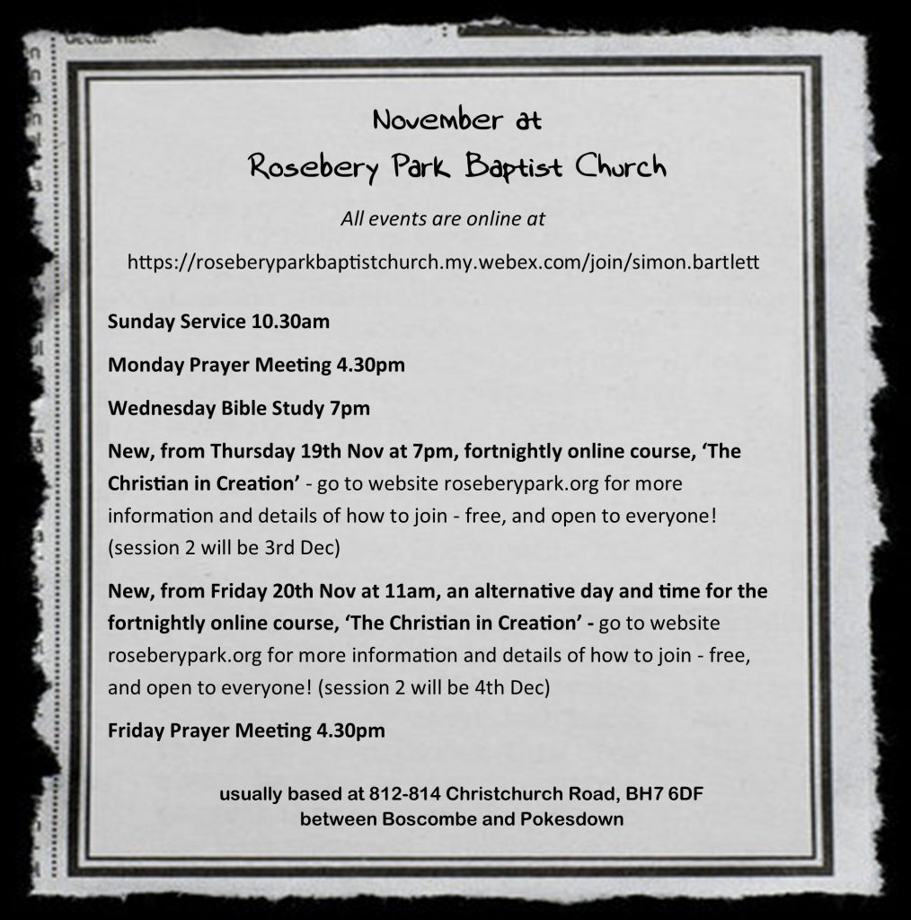November diary